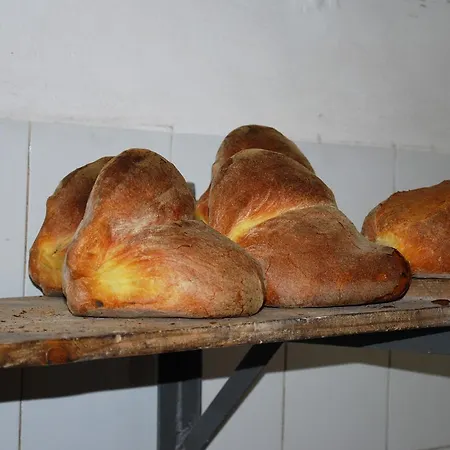 Nocleg ze śniadaniem Rossani *