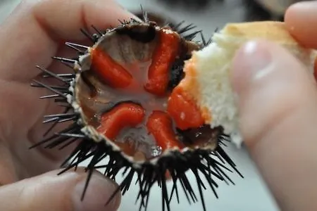 Bed & Breakfast Rossani *